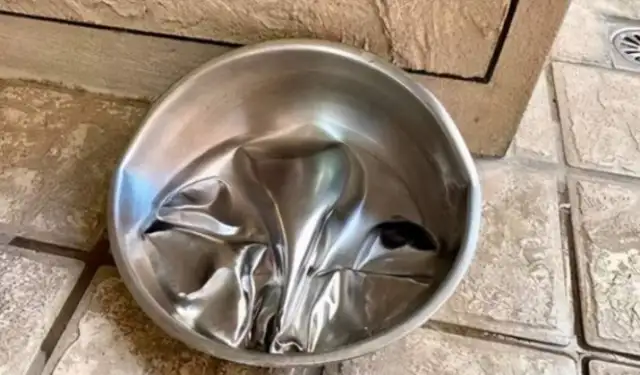 Grandfather came back with a water bowl that accidentally squeezed the dog, and he walked home and looked