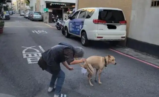 Dogs are determined to pull in the middle of the road, and the master is doing a move to make his friends &8230;