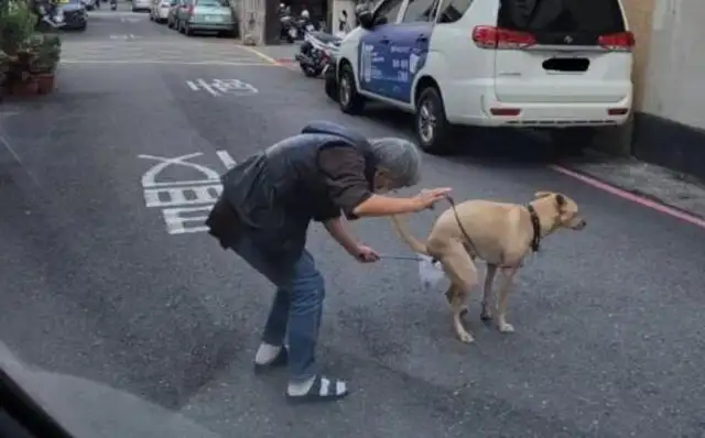 Dogs are determined to pull in the middle of the road, and the master is doing a move to make his friends &8230;