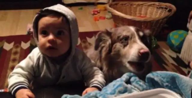 A pet dog learns "Mom" before he eats his food