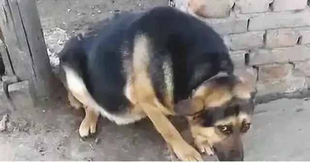 I don't know why