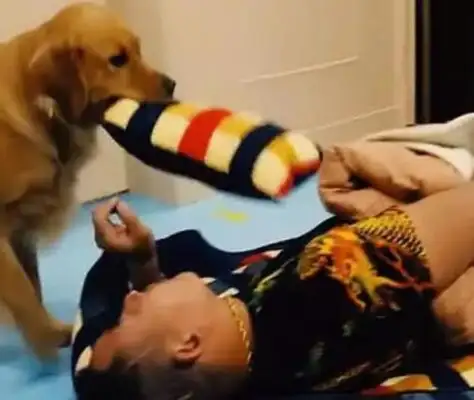 The master came home drunk and drunk and took over the golden hair. Warm. Heart