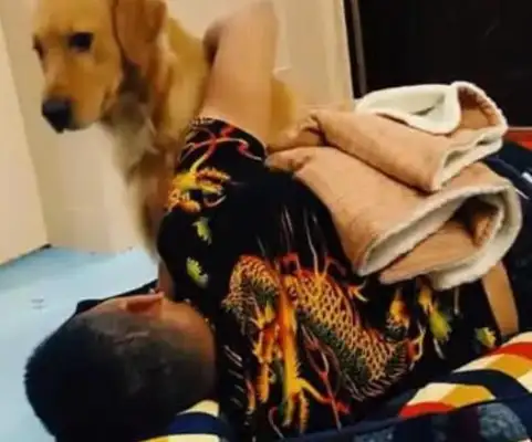 The master came home drunk and drunk and took over the golden hair. Warm. Heart