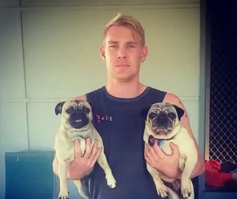 The dog lost access to the Internet and asked for help from the Great Facebook