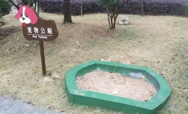 Community building public toilets for pets