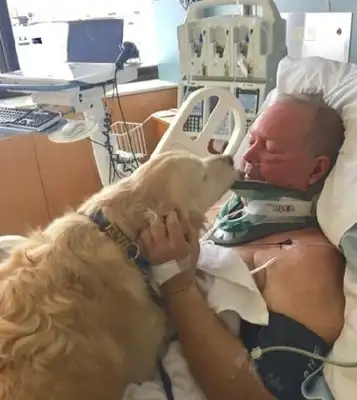 The master accidentally fell in the snow and fainted, lucky the dog saved his life。