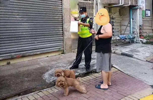 It's a prize! These uncivil dogs will be dealt with