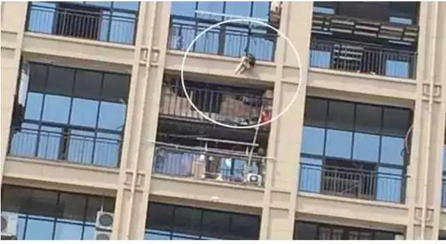 The dog was on the balcony, screaming, and the master didn't like it