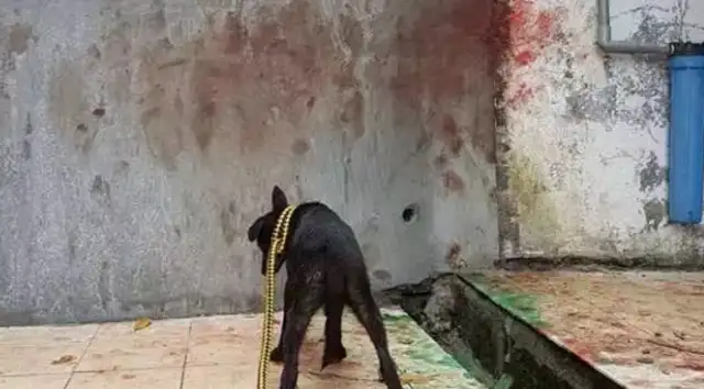 He tried to get out of here