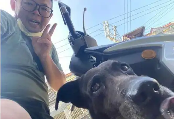 The netizens returned the message on the side of the road and were forced by the dog to take the van: I don't know you