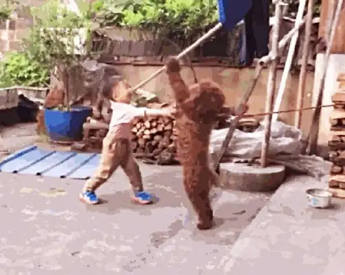The bear boy came back and started crying at once, and the shit-pussing officer laughed out of the pig's voice: it was so devious