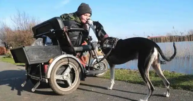 The dog lost a leg in a car accident, and after his adoption, the owner saved her life