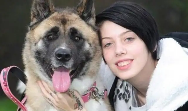 At the time of the master's most dangerous, the Akitas were able to save his life