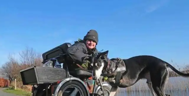 The dog lost a leg in a car accident, and after his adoption, the owner saved her life