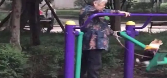 Grandma bought a plane for the dog. Dog: It's a nice plane, but why do you always fly