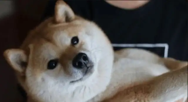 It's so cute