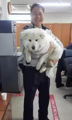 You're going to get your dog back to the police force 18 months later, and you're going to eat us