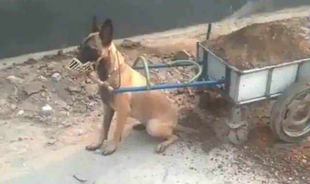 The master trained the pup tow truck, but he couldn't get out for 30 minutes