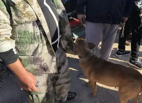 An old man sells a dog he's been raising for years, and he doesn't like it