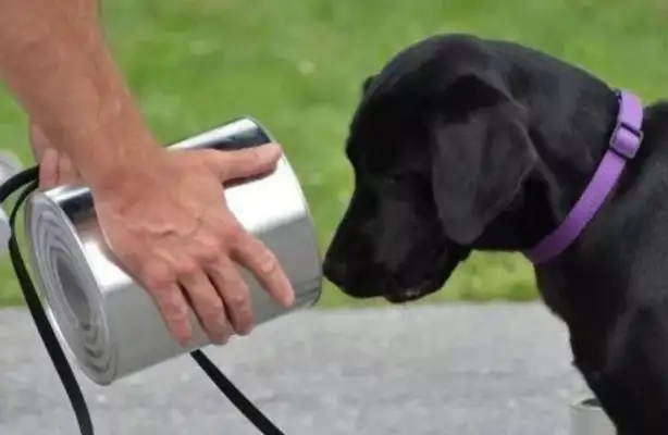 U.S. CIA DOGS WERE "LEAVED" FOR FAILING TO PERFORM