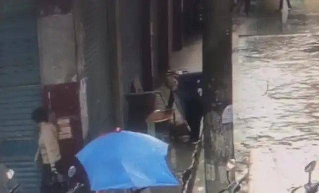Investigation into the killing of a golden fur dog in the street: the community's search for the owner failed to follow the stray dog