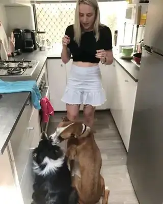 He took the dog to his girlfriend's house and he broke it all up