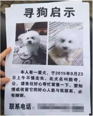 Someone helped find the dog