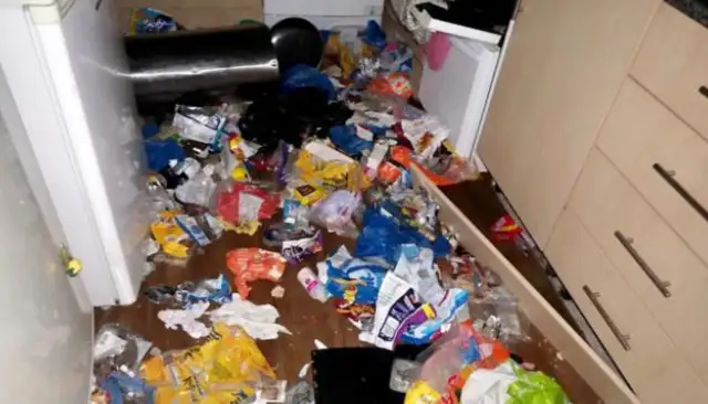 The owner left two cats and a dog behind, and 10 days later, the smell came out of the house, and when the door opened..