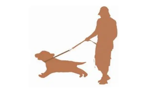 The dog was trained to die during the summer and the owner claimed over $30,000 from pet training