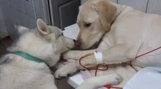 I'll stay with you