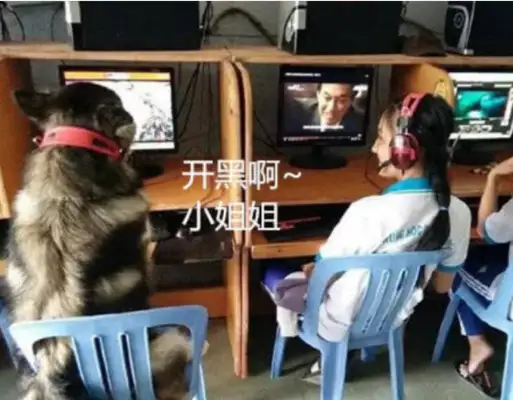 The boy leads a game with a dog-net, is being punished by his mother for taking responsibility for the dog