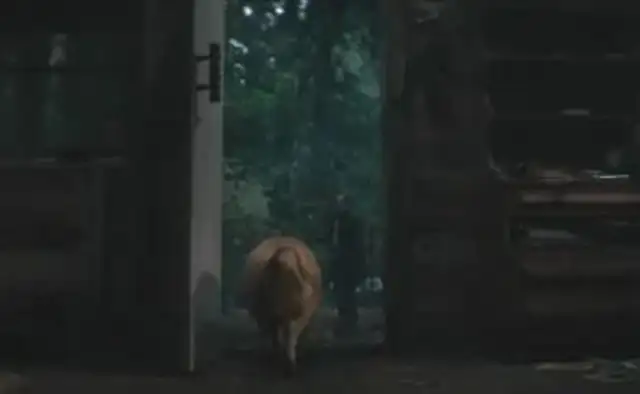 A dog drives Keenu crazy. A pig makes Cage sad