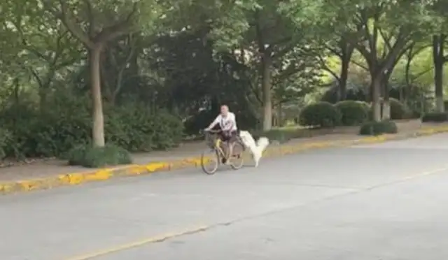 Grandfather rides the whole bike line without needing to squirt