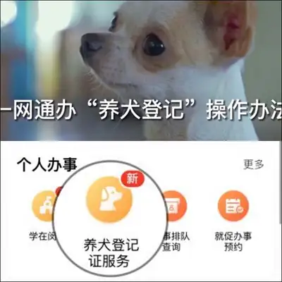 It's only immunization and registration, and dogs can experience it