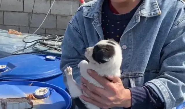 I'm a little milk dog in a garbage can