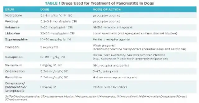 Secrets for acute pancreas: combination of pain, nutrition and liquid therapy