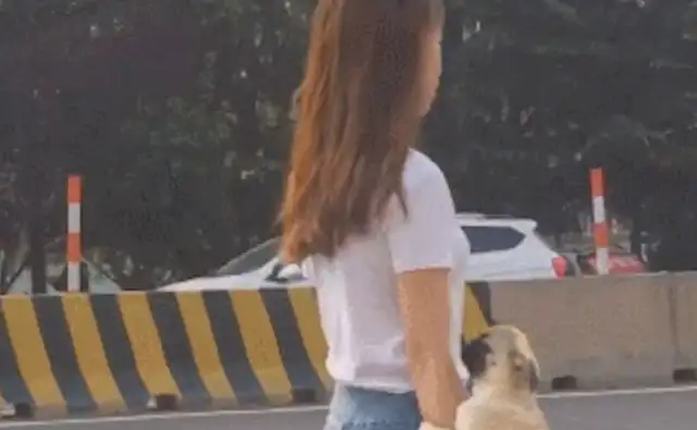The girl put the dog on her arm, like a real leather bag. It's hard to walk a dog