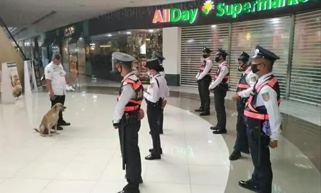 The stray dog broke into the mall, and the security guard, instead of being violent, compiled it into a maintenance dog
