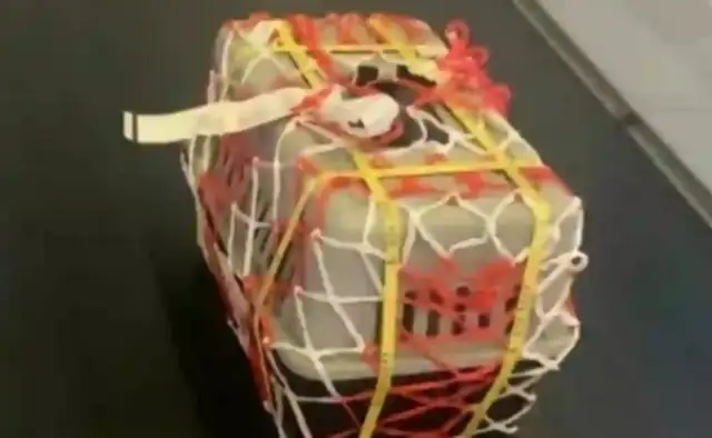 The dog had died in cross-border shipment, and the owner had claimed over $160,000