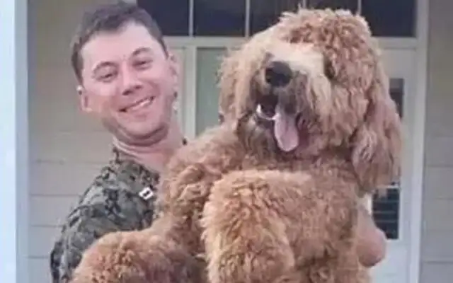 The boy gave his girlfriend a gift, Teddy, and he came home after two years as a soldier