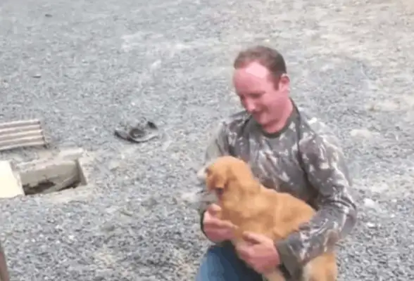 The dog was called for help in the ground, and the passers-by immediately entered the house and saw the pain
