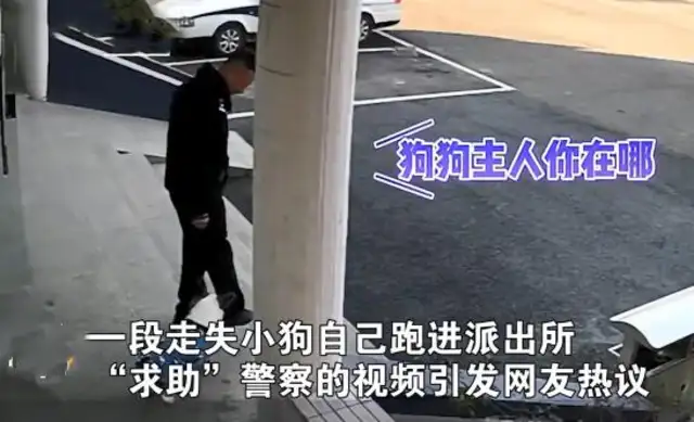 There's a dog in the police station, all around the police: Where's the cutie