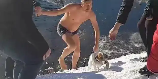 The dog accidentally fell into the cold lake, and there was no one to save him