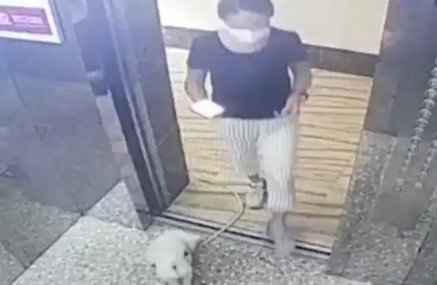 A woman in Guangdong is stuck with a dog in an elevator rope