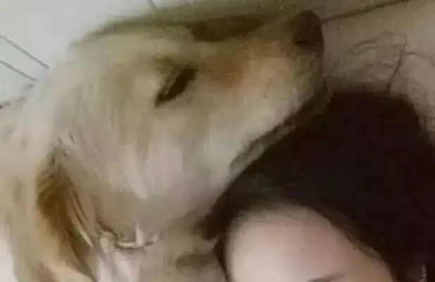 The bitch gives milk to the baby, and the baby wants a piece of it. Warm. Heart