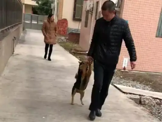 I was scared when a field dog ran out of the door and released himself