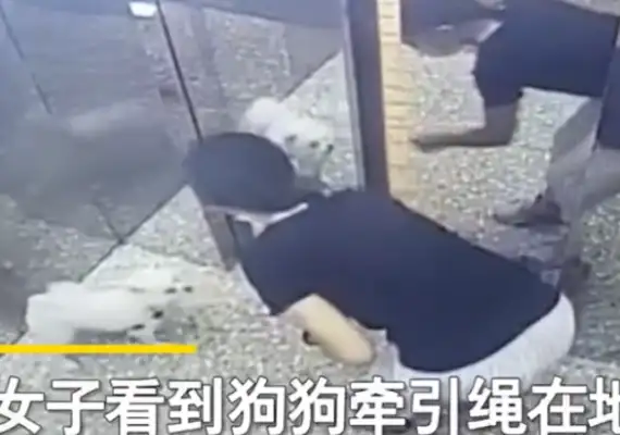 A woman in Guangdong is stuck with a dog in an elevator rope