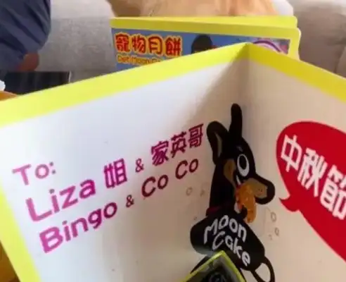 Wang Ming-ho and Luo's moon cakes are too much to feed to dogs