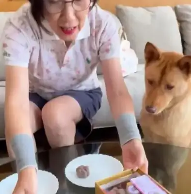 Wang Ming-ho and Luo's moon cakes are too much to feed to dogs