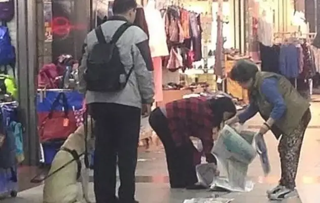 The dog can't hold his piss in the store. He thinks he's gonna scold him, but his nose is sore